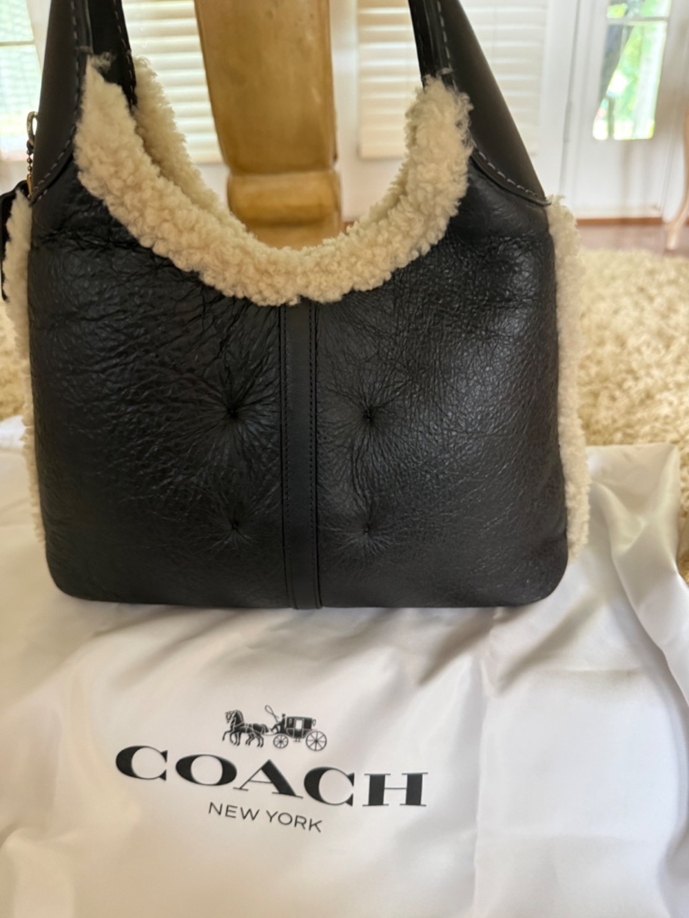 Coach Brooklyn 28 Shearling Leather Shoulder Bag Black Pouch Dust Bag NWT - Picture 5 of 14